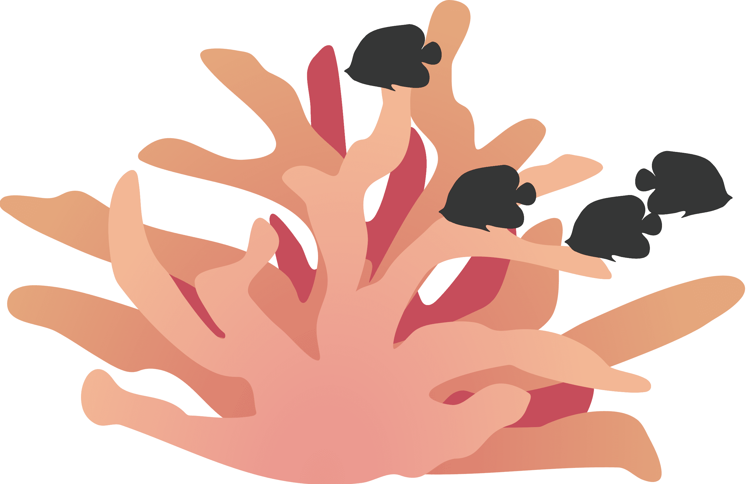 PIELSN logo