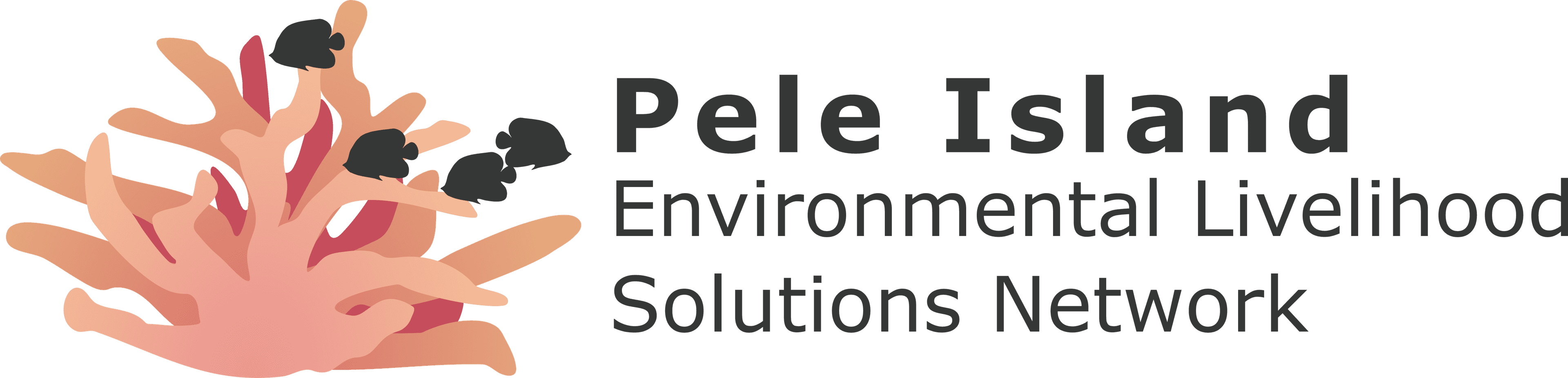 PIELSN logo
